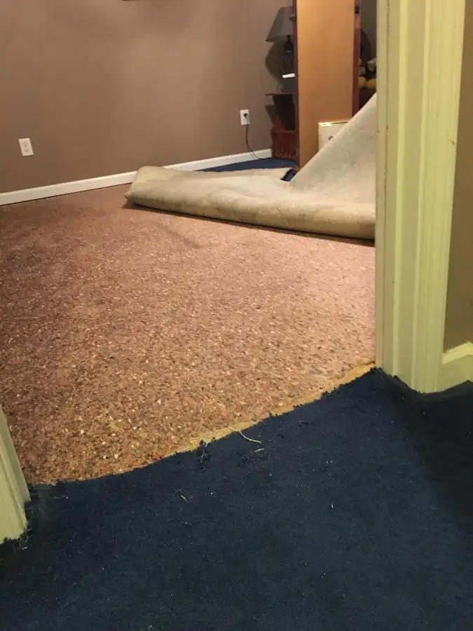 Carpet pad removal revealing water damage during Water Mitigation Services in Silver Springs