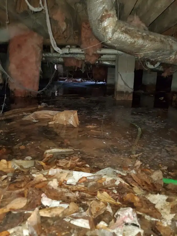 Crawl space flood assessment for Leak Detection & Repair in Silver Springs