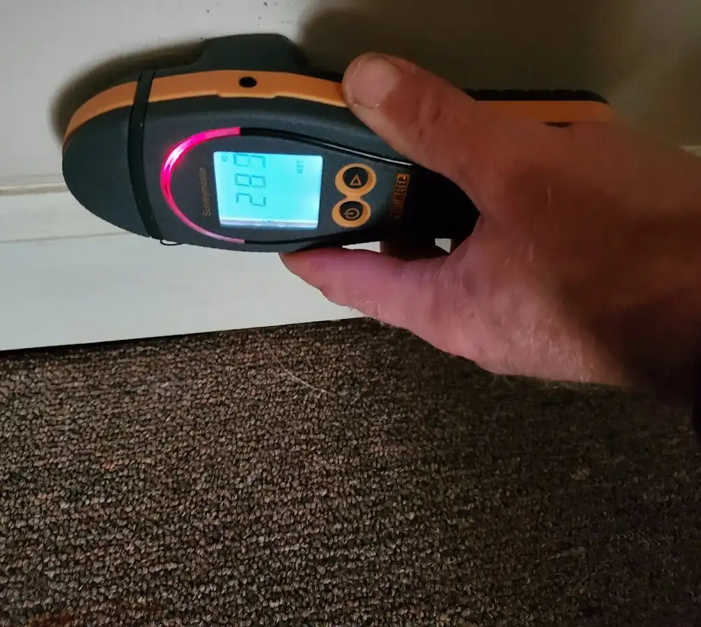 Moisture detection at baseboard during Mold Inspection & Testing in Silver Springs